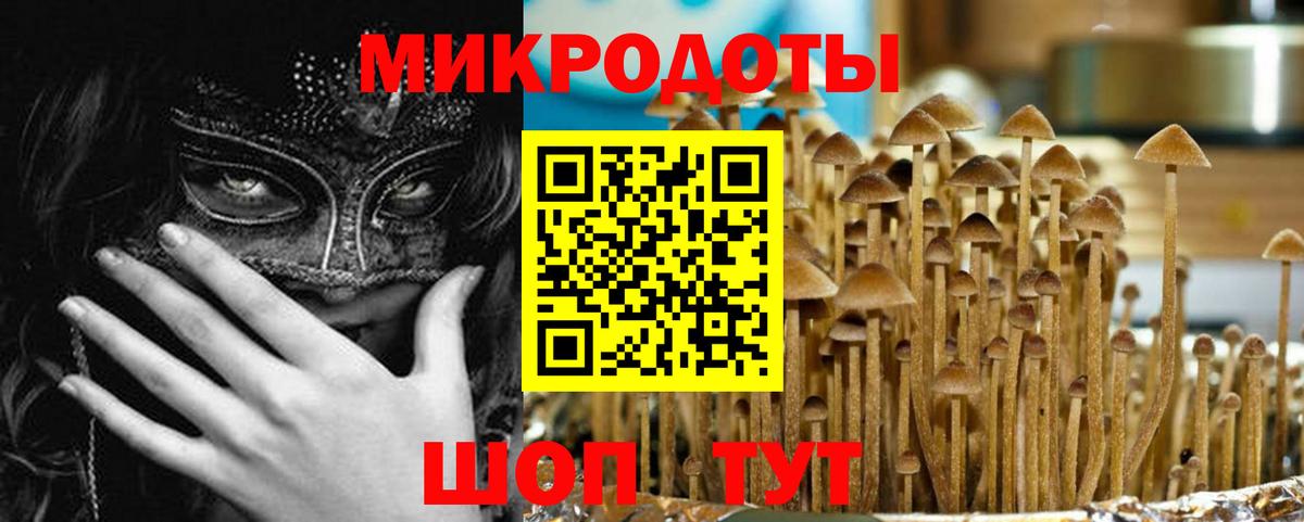 Протвино  цены наркотик  Вход с VPN  Галлюциногенные грибы Psilocybe  Галлюциногенные грибы Magic Shrooms 
